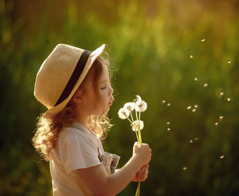 Одуванчикиphoto preview