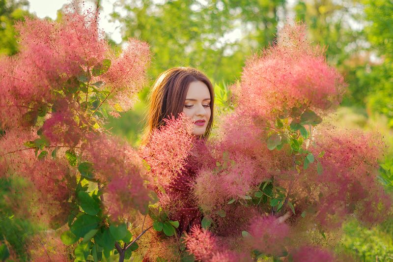 Веснаphoto preview