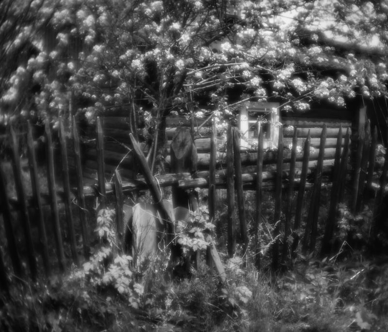 монокль, пикториализм, чб Веснаphoto preview