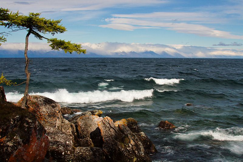 на острове Большой Ушканий фото превью
