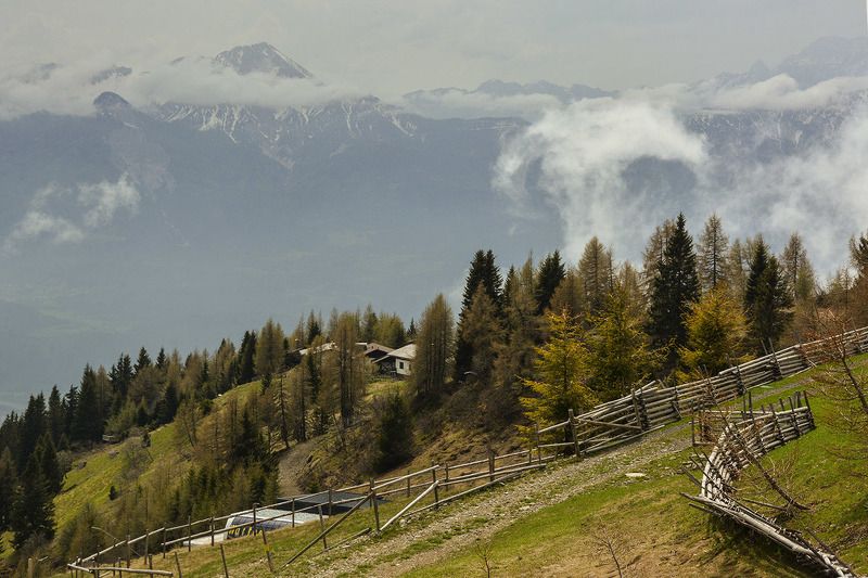 утро, горы, туман, пейзаж Утром в Альпахphoto preview