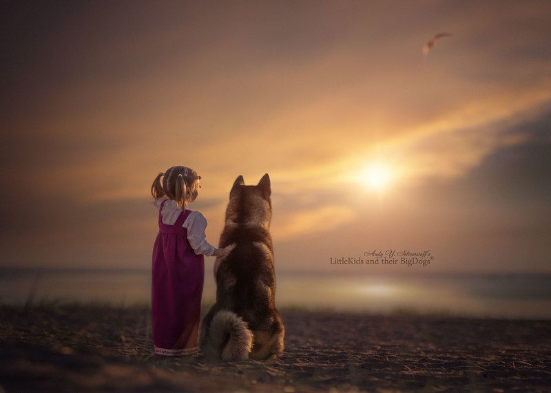 АКИТАphoto preview