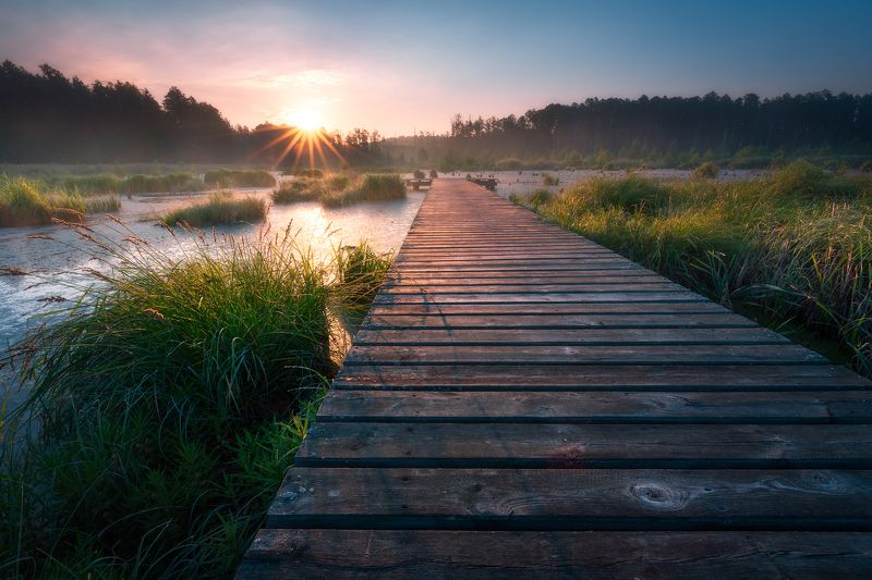 poland podlasie sky clouds woods sunrise trees outdoor spring jetty mist fog There is a path to everything...photo preview
