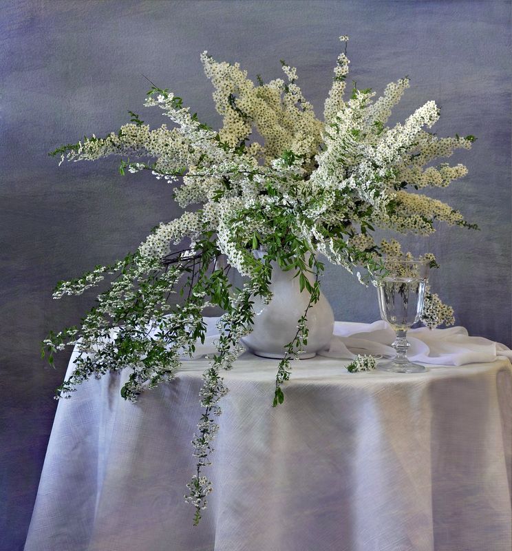 лето, цветы, спирея, натюрморт, букет Белая спирея 2photo preview