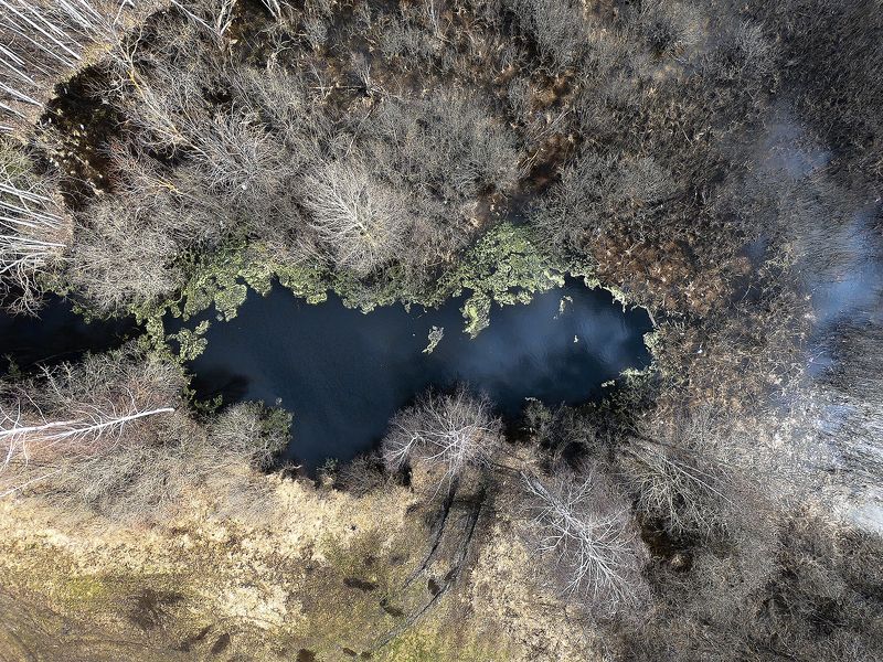 Озероphoto preview