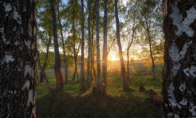 #пейзаж #весна #подмосковье #чехов #красиво #природа #восход #утро  / Утро в подмосковье /photo preview