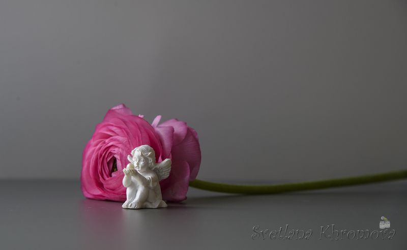 лютик, ангел Лютикphoto preview