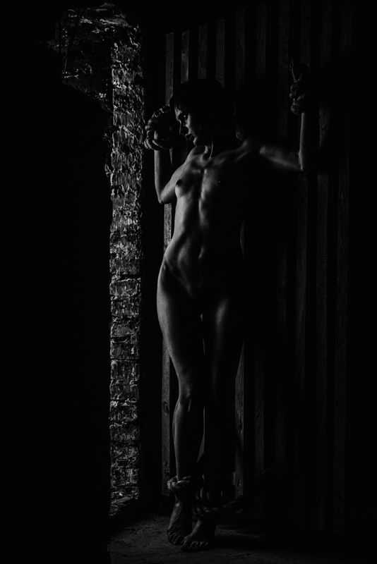 nude, ню, girl, девушка, woman, bw, akt, арт, модель, model, in ropes - в канатахphoto preview