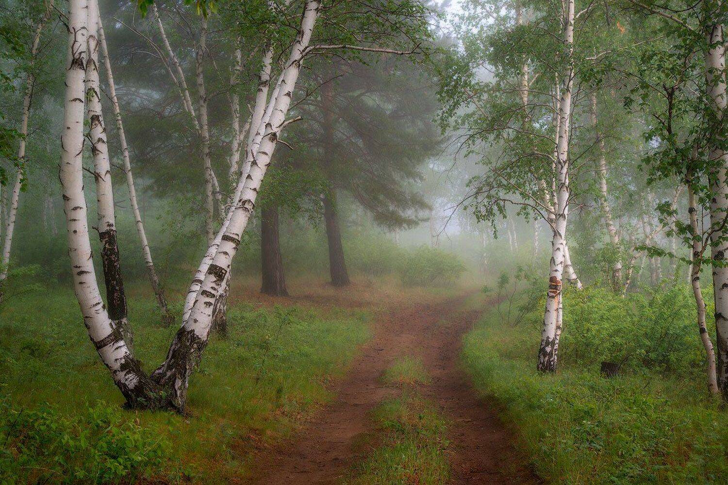 , Сергей Брагин