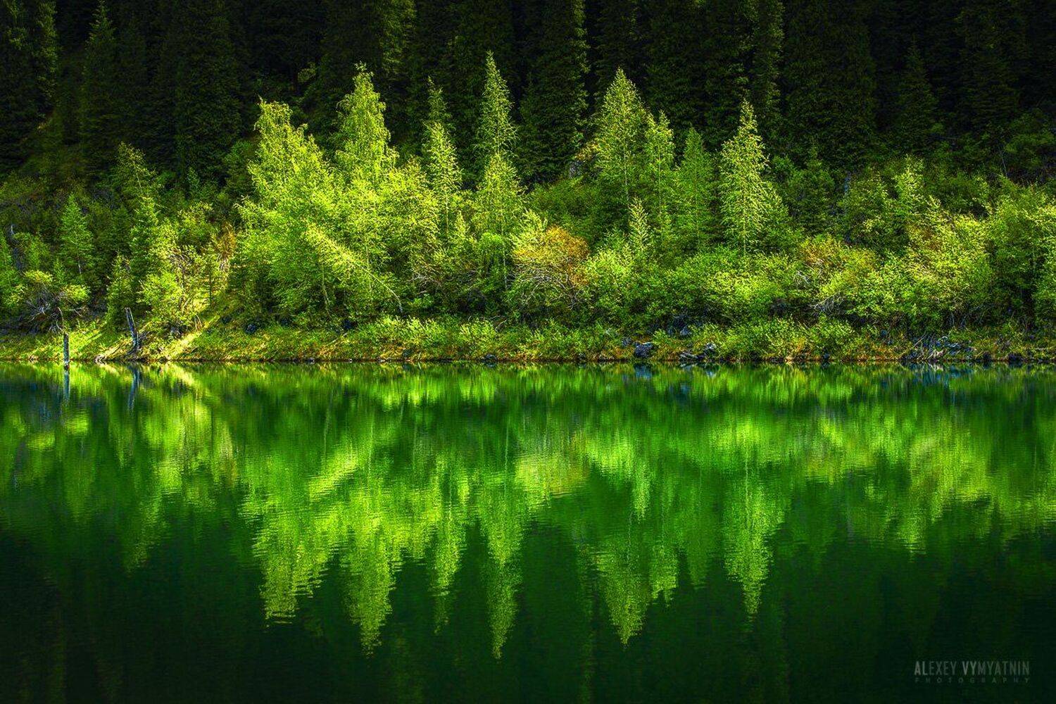 Озеро Каинды #2. Автор: Алексей Вымятнин , Алексей Вымятнин
