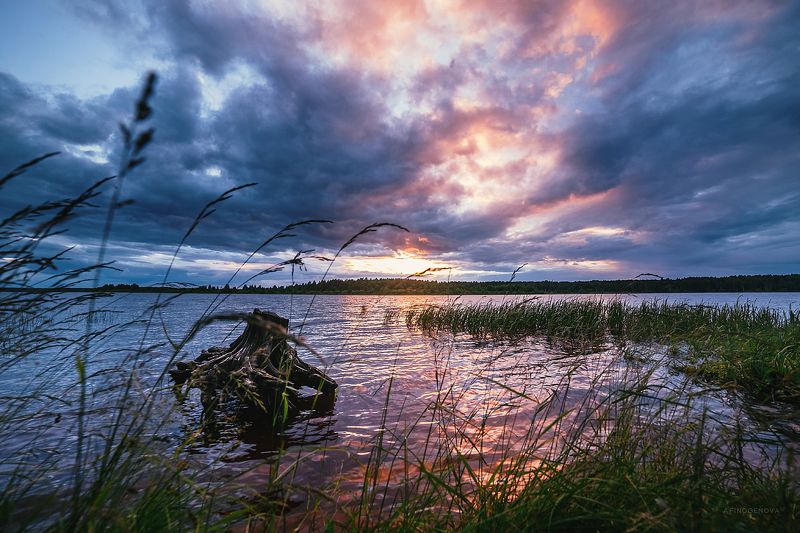 закат, облака, вечер, берег ###photo preview