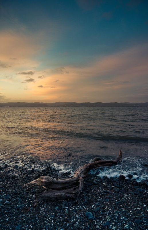 Изнеможденный сушейphoto preview