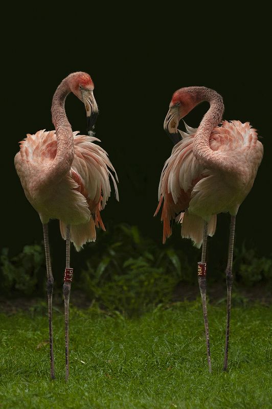 end of the rainphoto preview