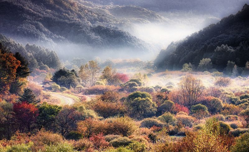 memory of my mindphoto preview