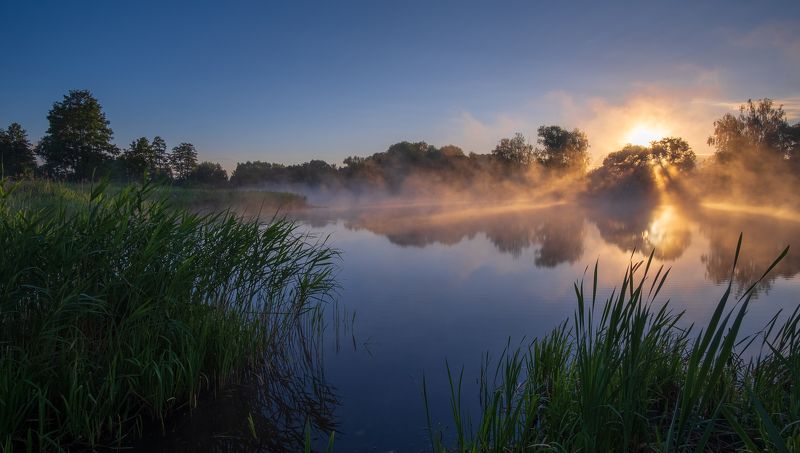 Рассвет сквозь туман...photo preview