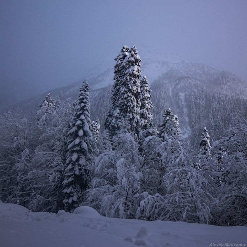 кавказ, домбай, зима, утро, снег, ущелье, горы Елиphoto preview