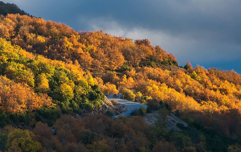 Landscape Autumn colorsphoto preview