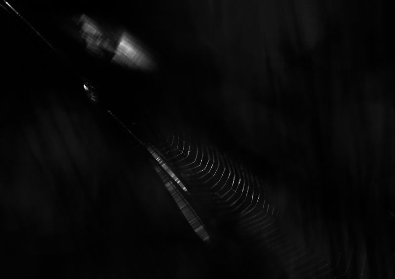 Наощупьphoto preview