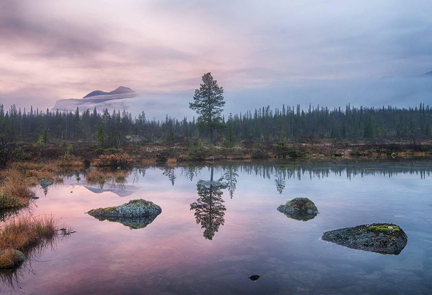 Гармония севера. Автор: flyman , flyman