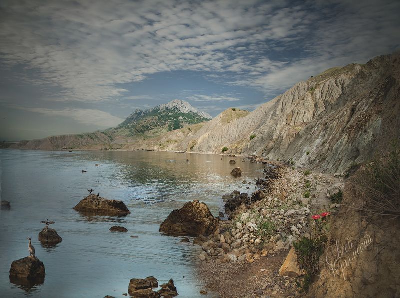 Крым. Майское утро у Лисьей бухты. фото превью