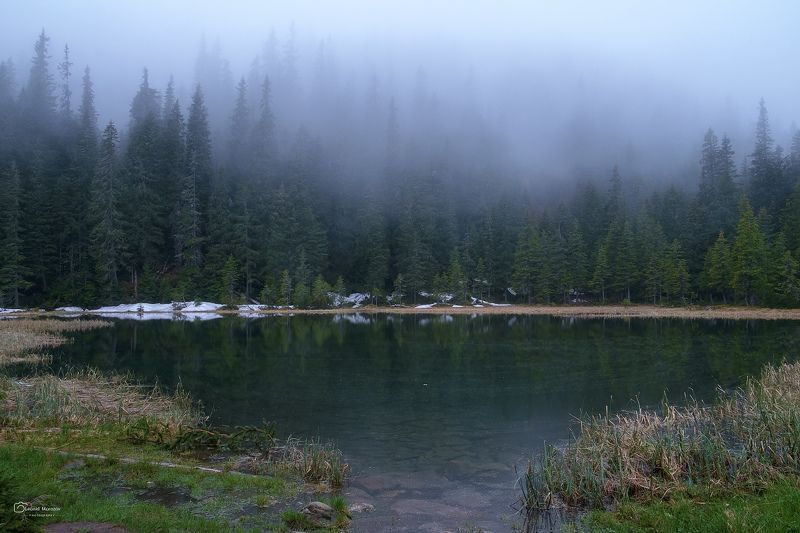 карпаты., украина., зима., пейзаж., снег., карпатский., гора., красивый., небо., природа., дерево., холод., мороз., путешествия., белый., сезон., ель., лес., фон., снежный., горы., зимний., утро., отдых., солнце., лед., изморозь., иней., сцена., синий., с Maricheyka фото превью