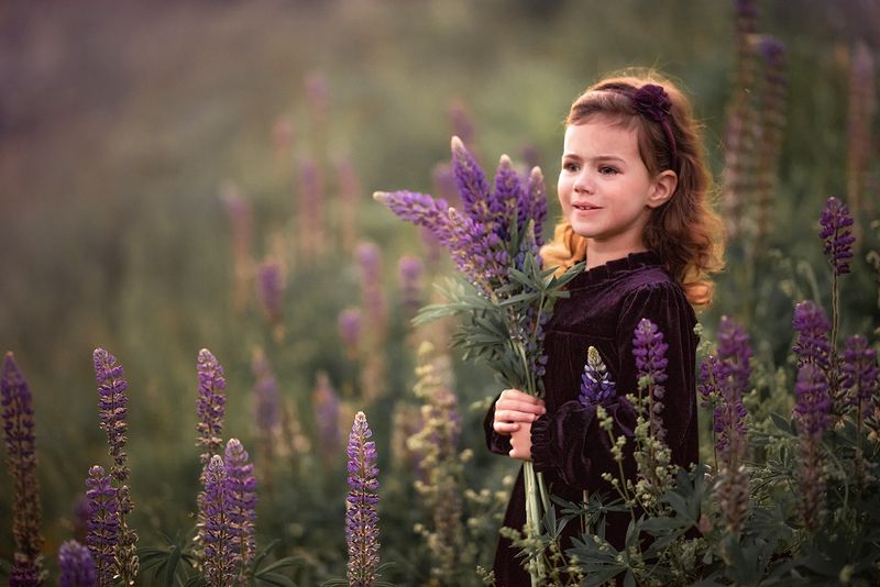 Букет люпиновphoto preview