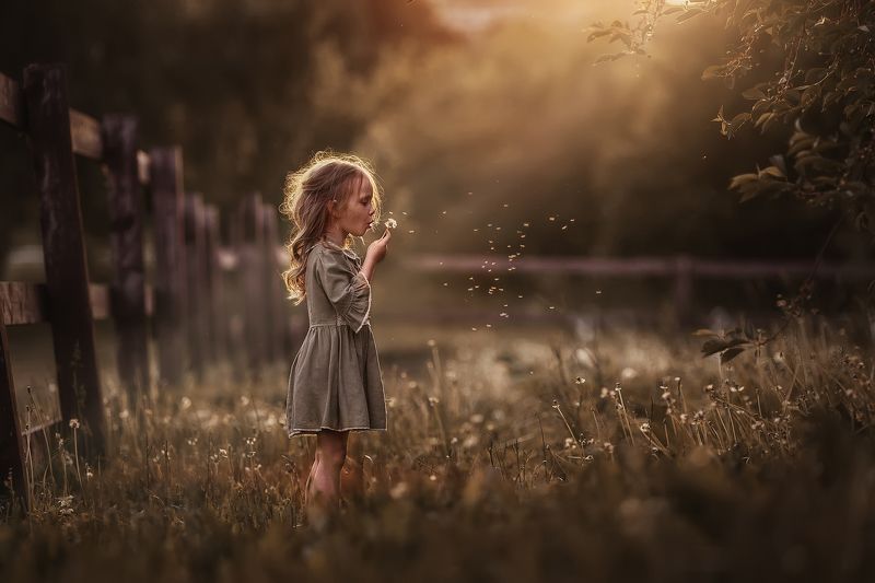 лето, одуванчики, поле, луг, девочка, ребенок, детство, закат, москва Июньский вечерphoto preview