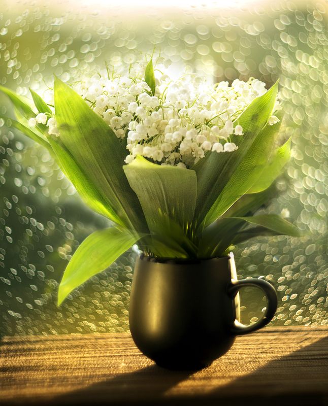 В тот месяц май.....photo preview