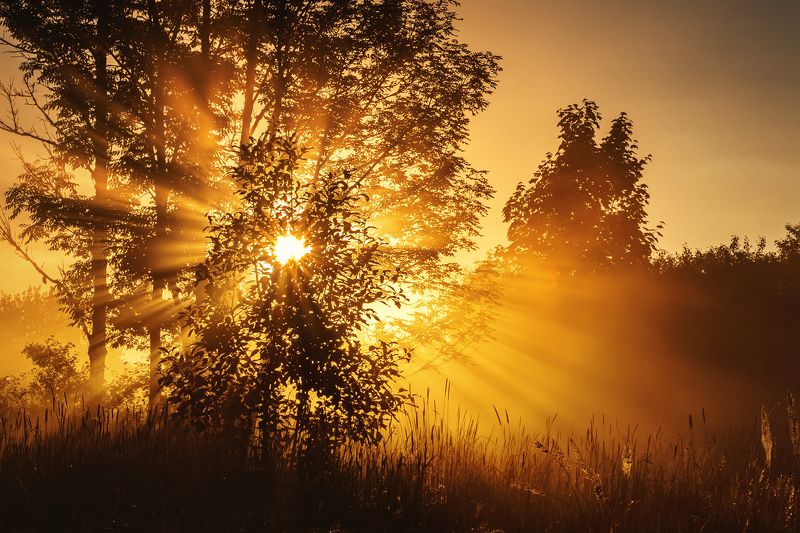 Eveningphoto preview