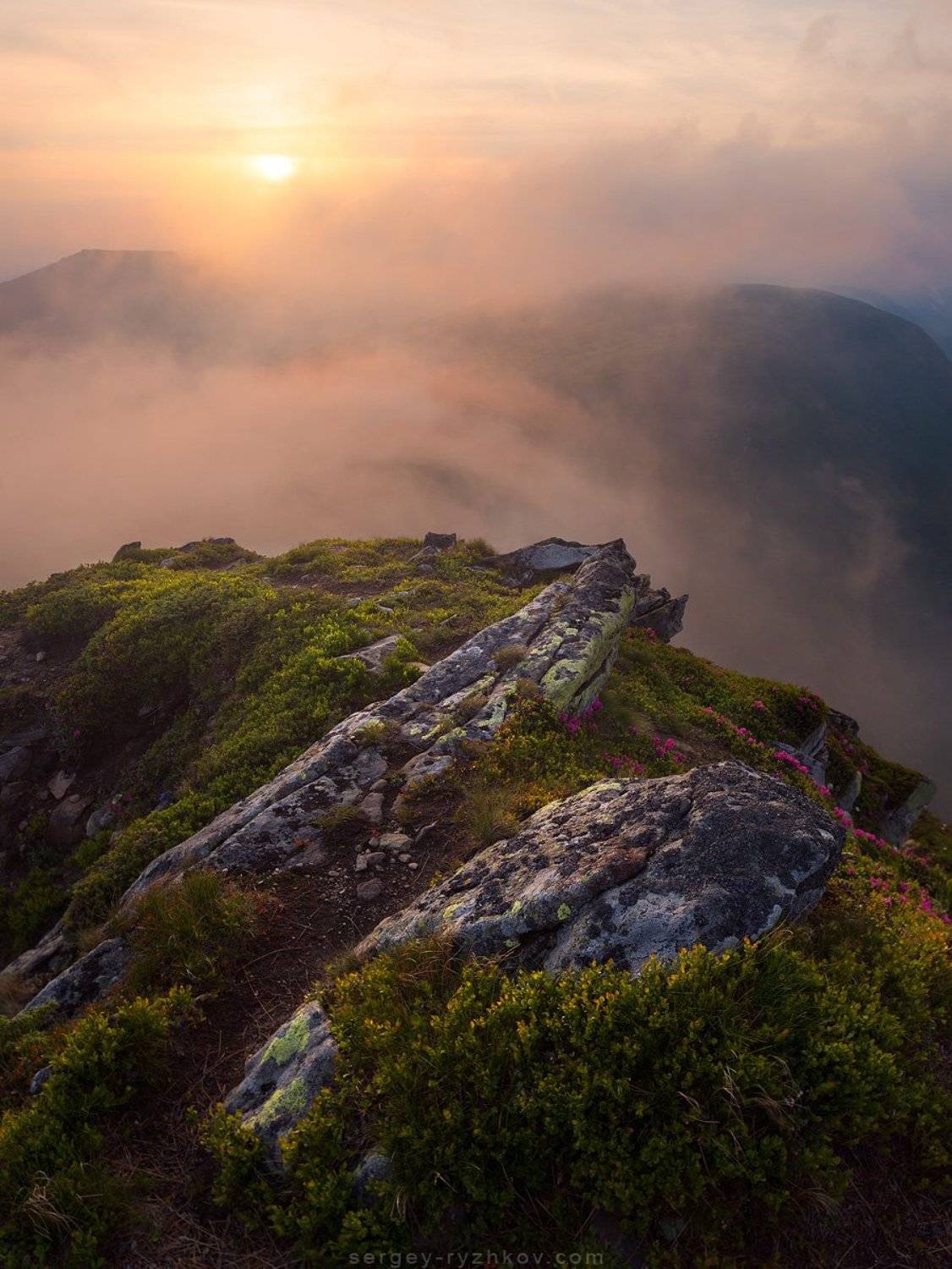 Карпаты, Украина, природа, горы, пейзаж, туман, landscape, nature, carpathians, ukraine, mountains,, Сергей Рыжков