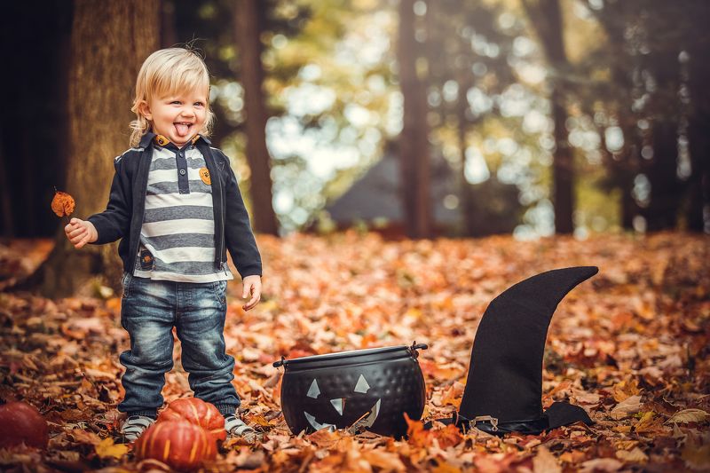 Осеннее настроениеphoto preview