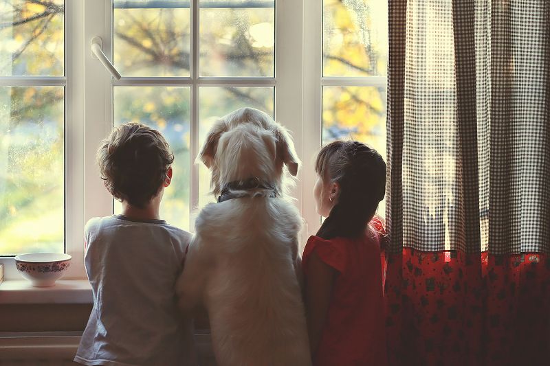 Момент созерцанияphoto preview