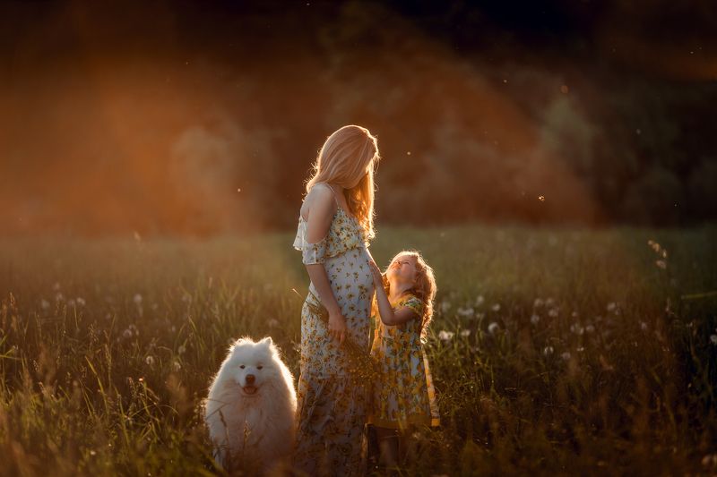 мама, дочь, в ожидании, беременность, семья, собака, лето Нежностьphoto preview