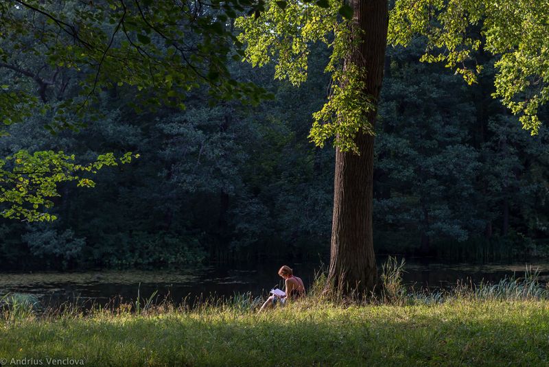 Reading at Sunsetphoto preview