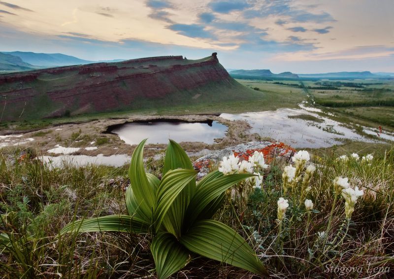 сундуки Сопки Хакасииphoto preview