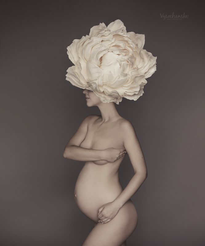 maternity, baby, family photo preview