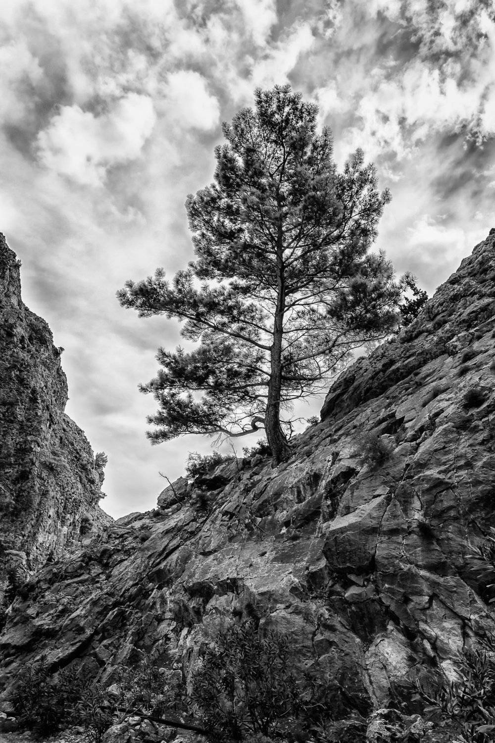 , Бистра Стоименова