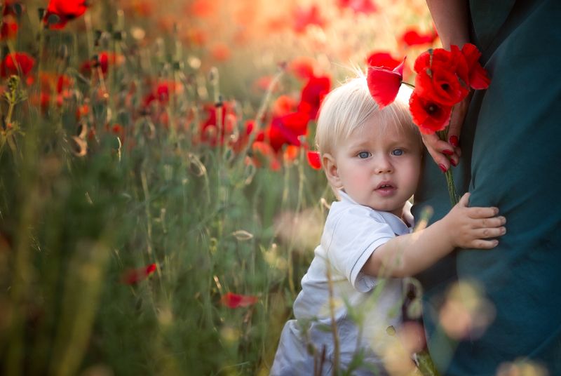 маковое поле, детская фотография, прага, мальчик, мальчик с мамой, красный цвет, леняя фотография В макахphoto preview