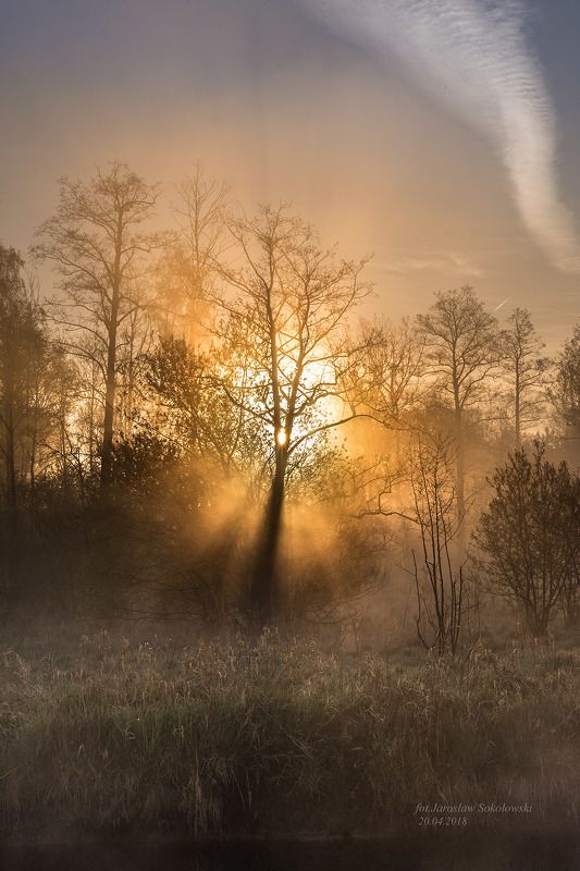 źródło -источникphoto preview