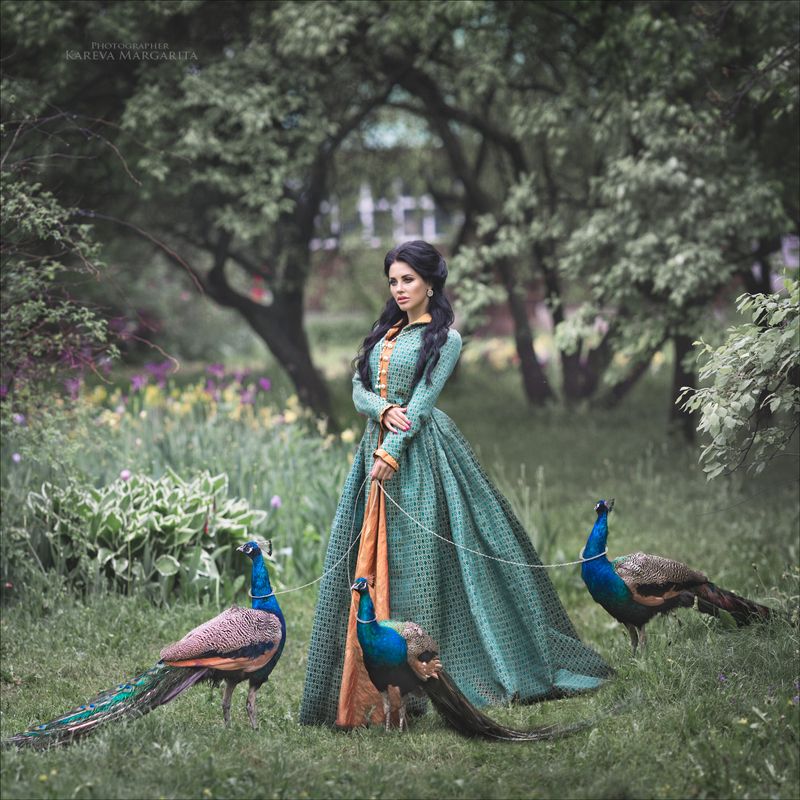 Павлинphoto preview