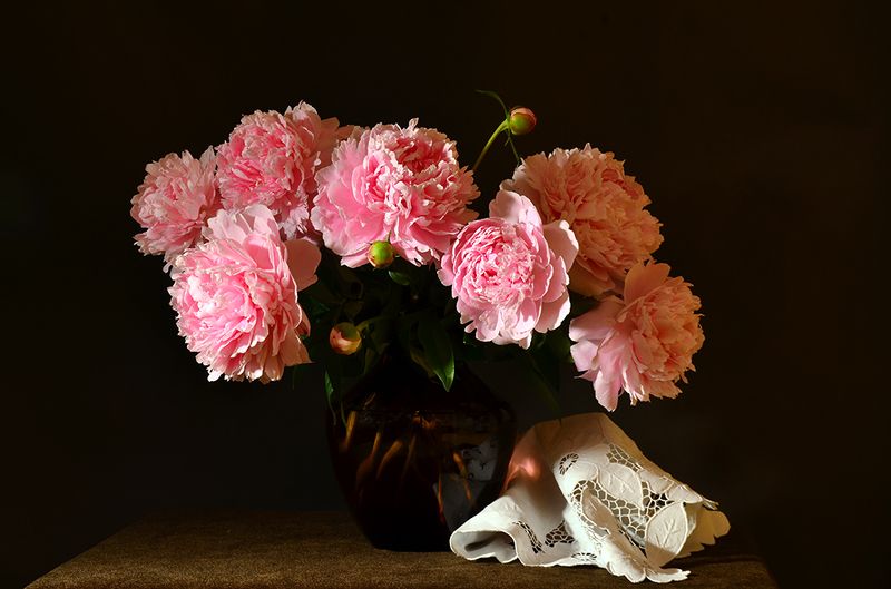 Пионыphoto preview