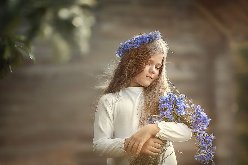 Василькиphoto preview