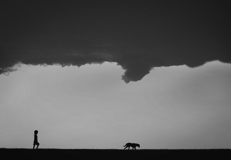 With dogphoto preview