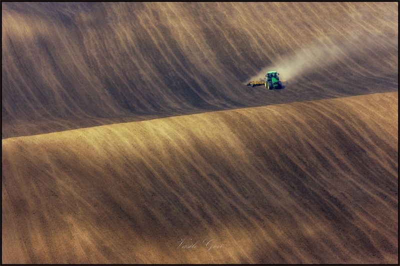 южная моравия,пейзаж,hils,трактор,линии,south moravian,полевые работы,lines,свет,czech,веснa,чехия,landscapes. На крутой волне... фото превью