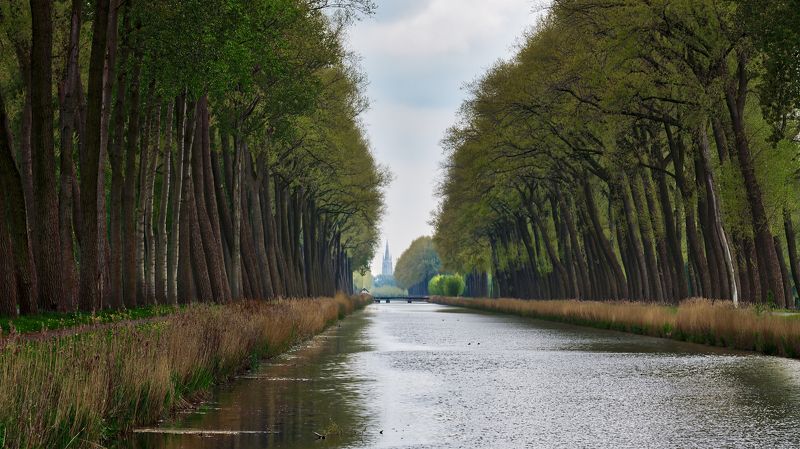 Damse Vaartphoto preview