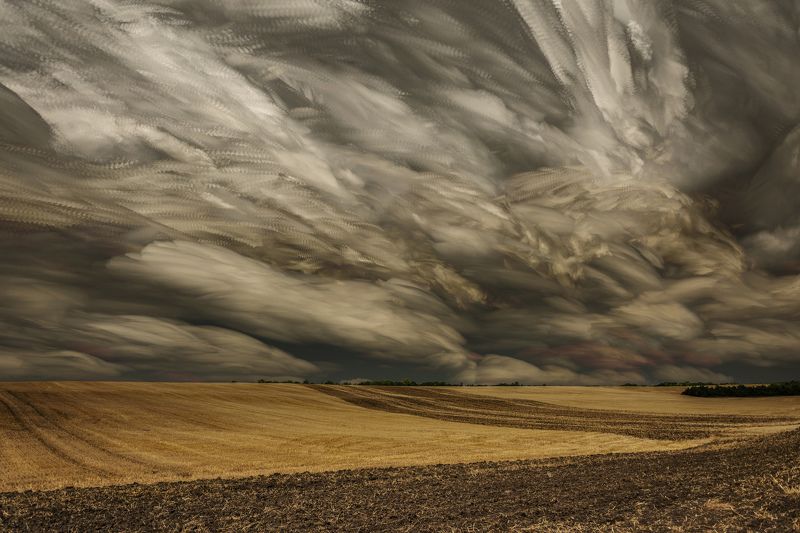 ceclii, nikon d3400 photo preview