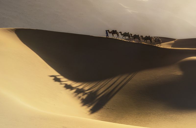 The way of manphoto preview