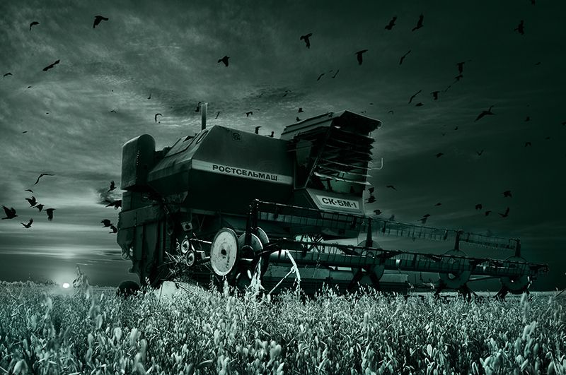 tdadiz, dizfx Жатваphoto preview