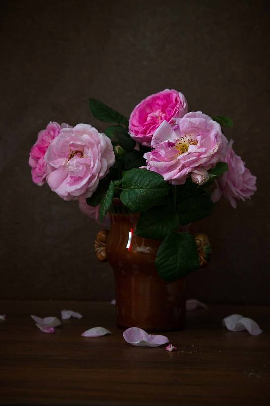 Розыphoto preview