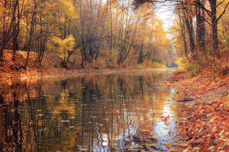 Осеньphoto preview